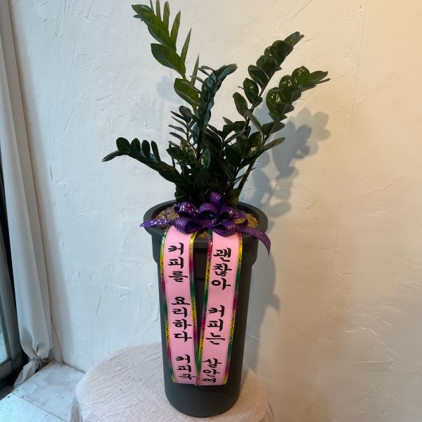 업로드 이미지