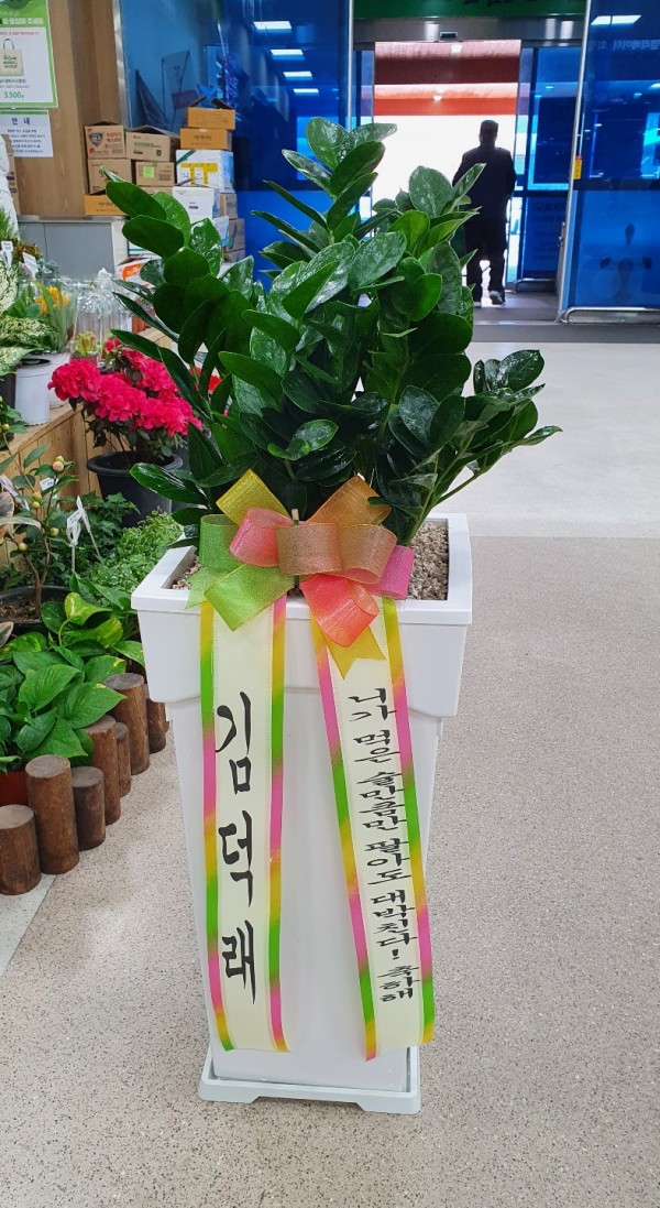 업로드 이미지