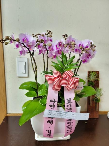 업로드 이미지