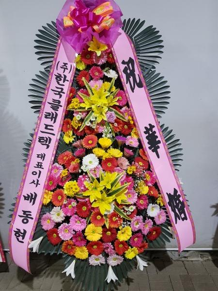 업로드 이미지