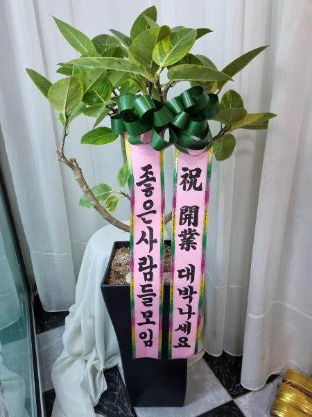 업로드 이미지