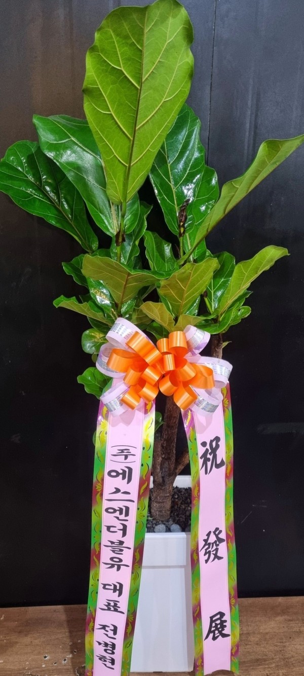 업로드 이미지