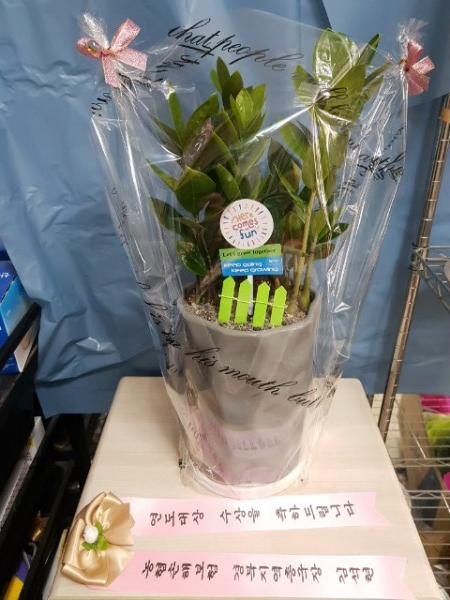업로드 이미지