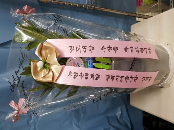 업로드 이미지