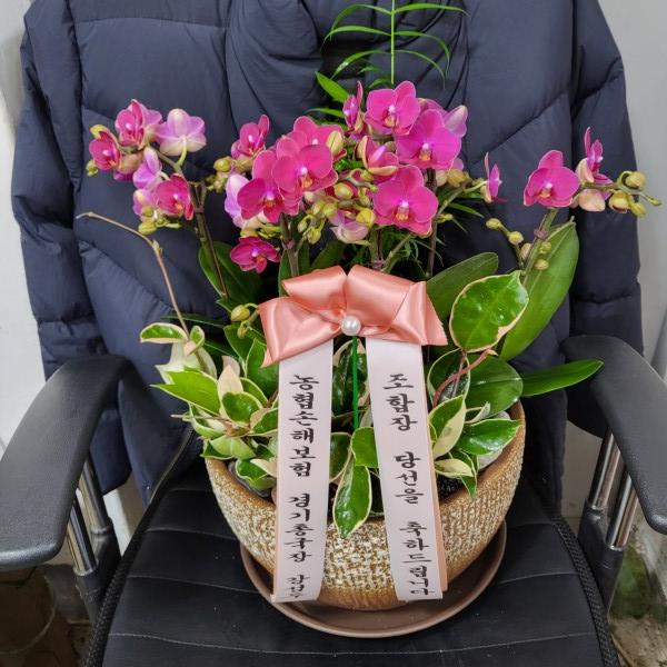 업로드 이미지