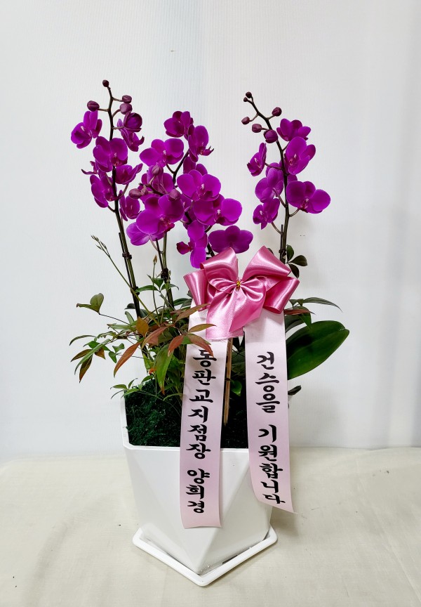 업로드 이미지