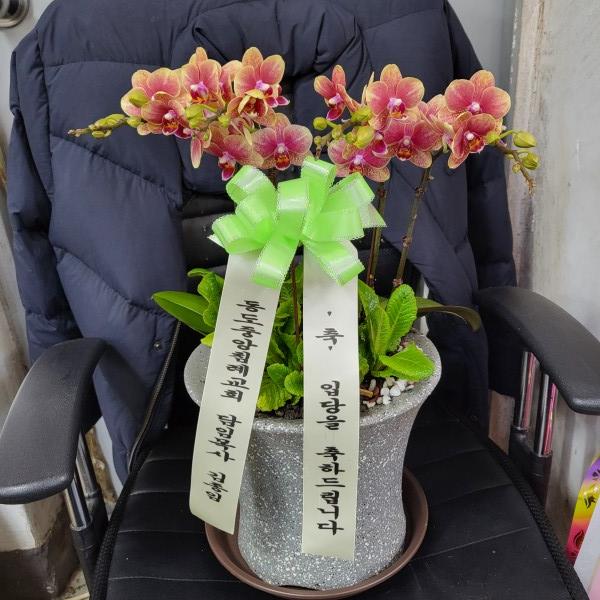 업로드 이미지