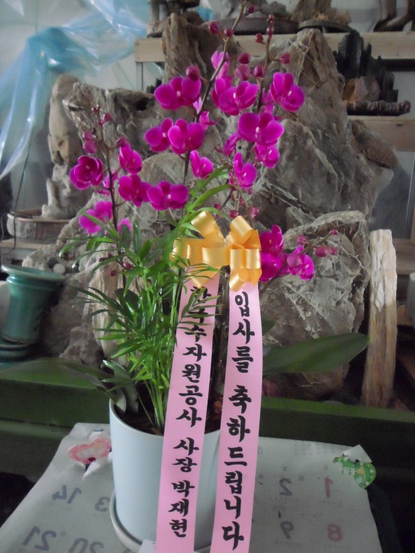 업로드 이미지