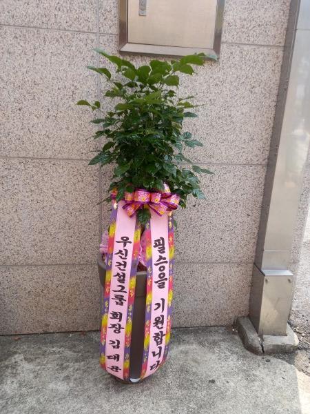 업로드 이미지