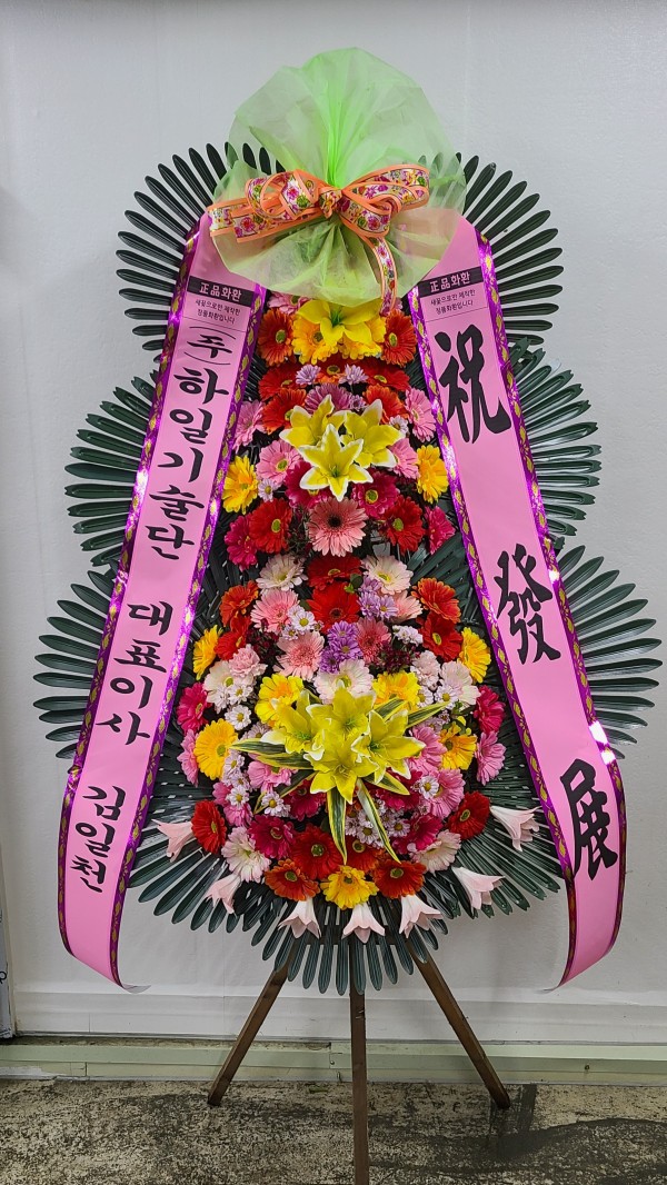 업로드 이미지