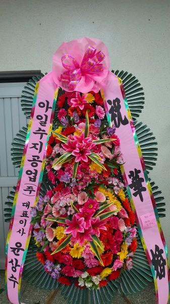 업로드 이미지