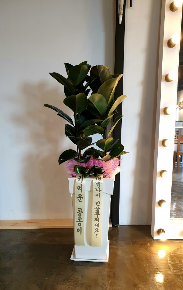 업로드 이미지