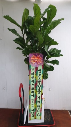 배송사진