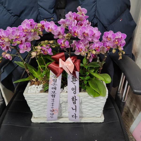 업로드 이미지