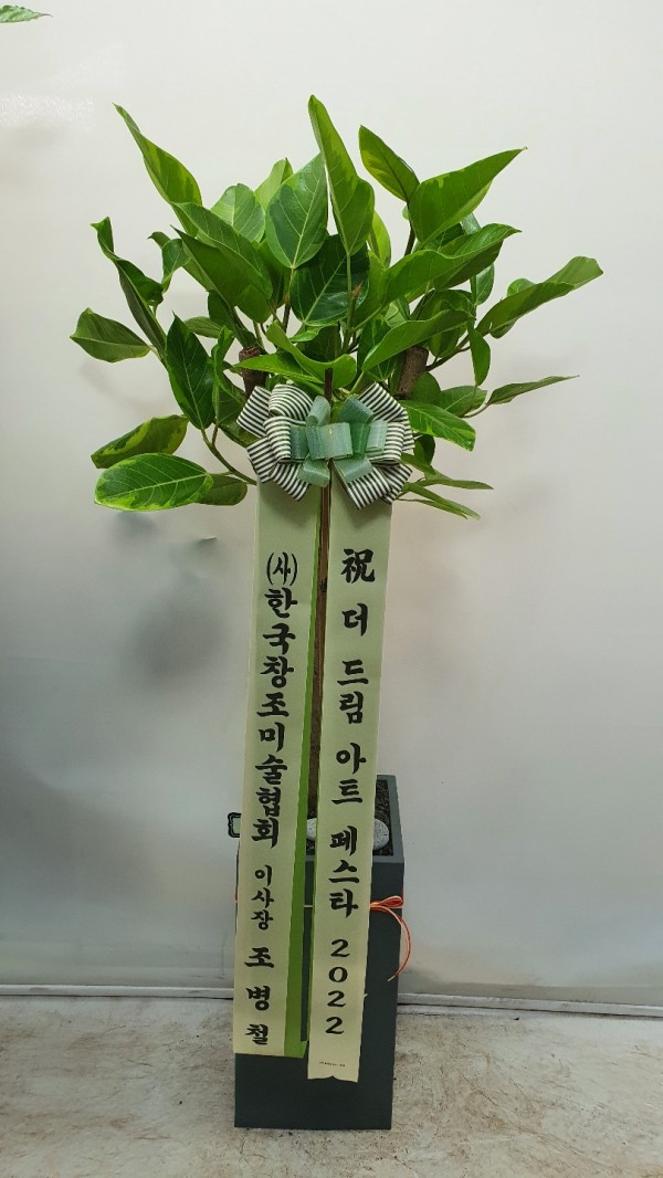 업로드 이미지