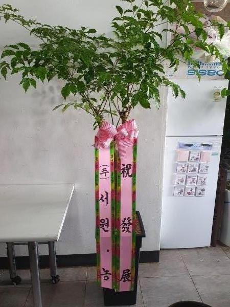 업로드 이미지