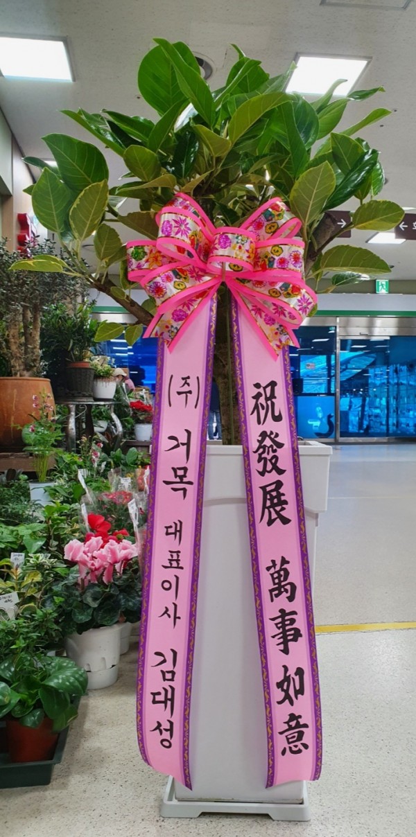 업로드 이미지