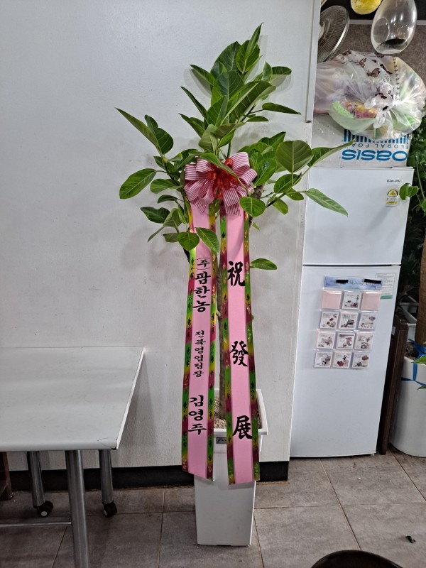 업로드 이미지