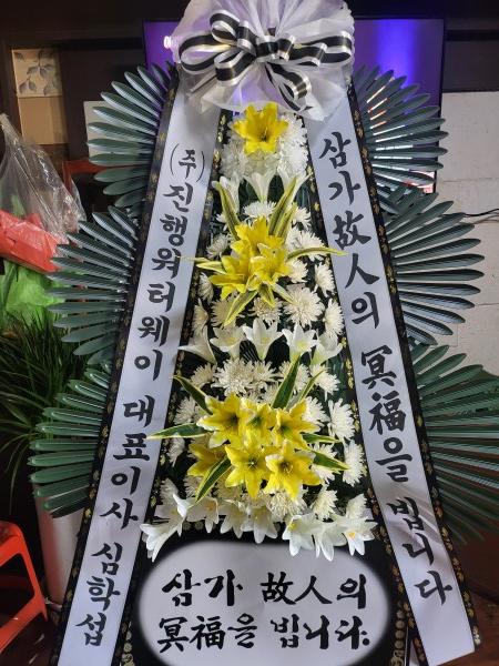 업로드 이미지