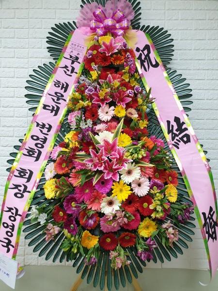 업로드 이미지