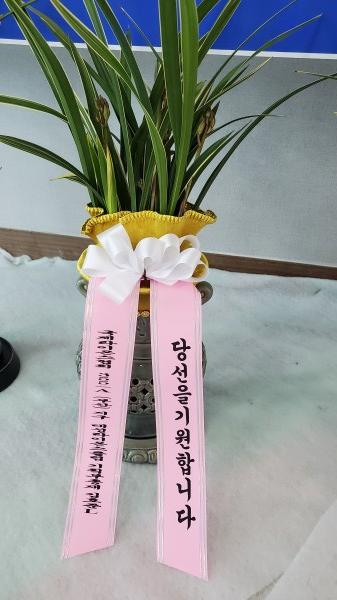 업로드 이미지
