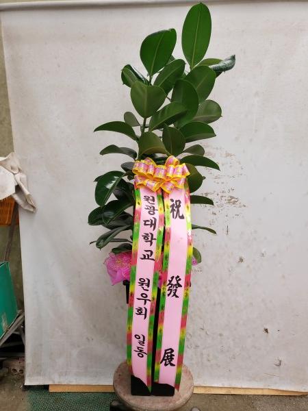 업로드 이미지