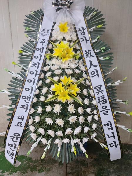 업로드 이미지