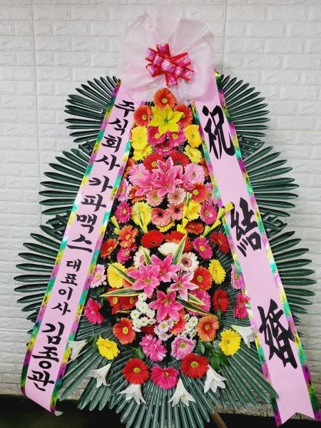 업로드 이미지