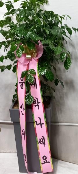 업로드 이미지