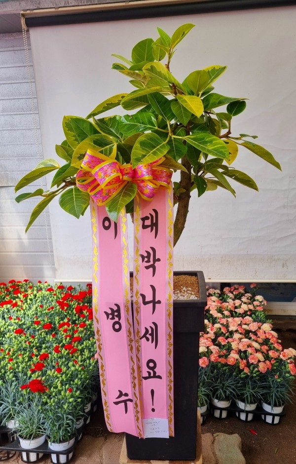 업로드 이미지
