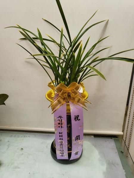 업로드 이미지