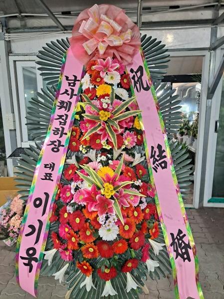 업로드 이미지
