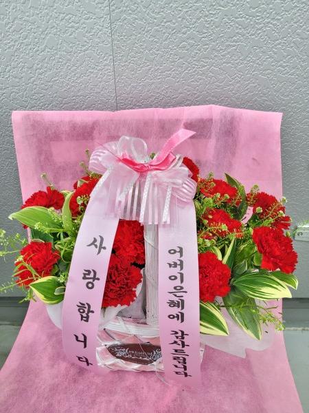 업로드 이미지