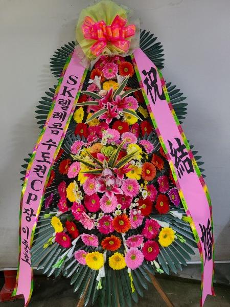 업로드 이미지