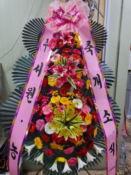 업로드 이미지