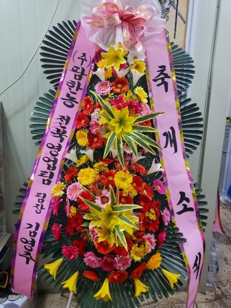 업로드 이미지