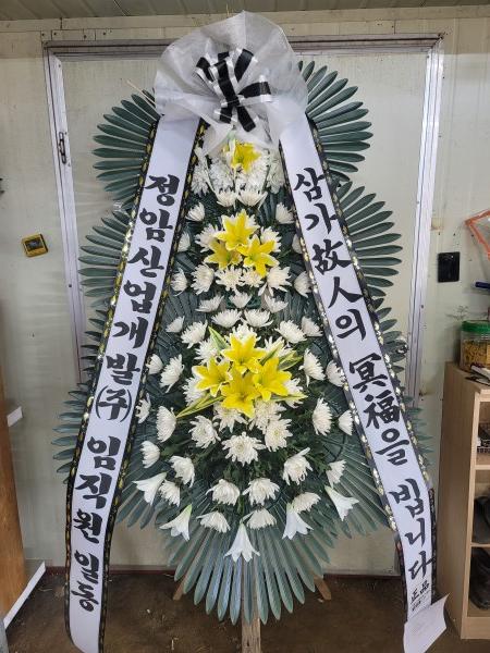 업로드 이미지