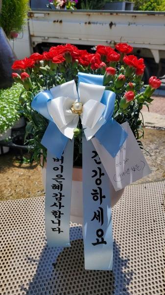 업로드 이미지