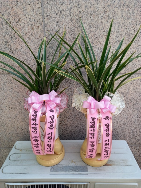 업로드 이미지