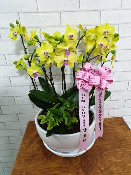 업로드 이미지