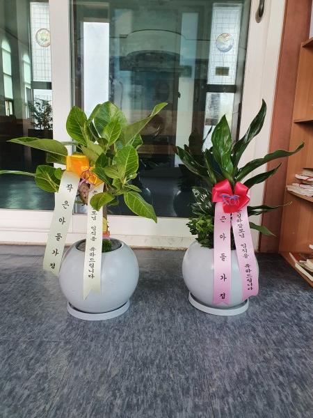 업로드 이미지