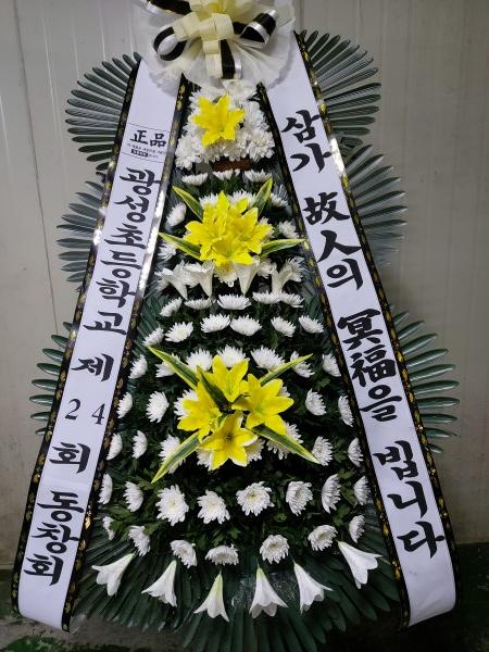 업로드 이미지