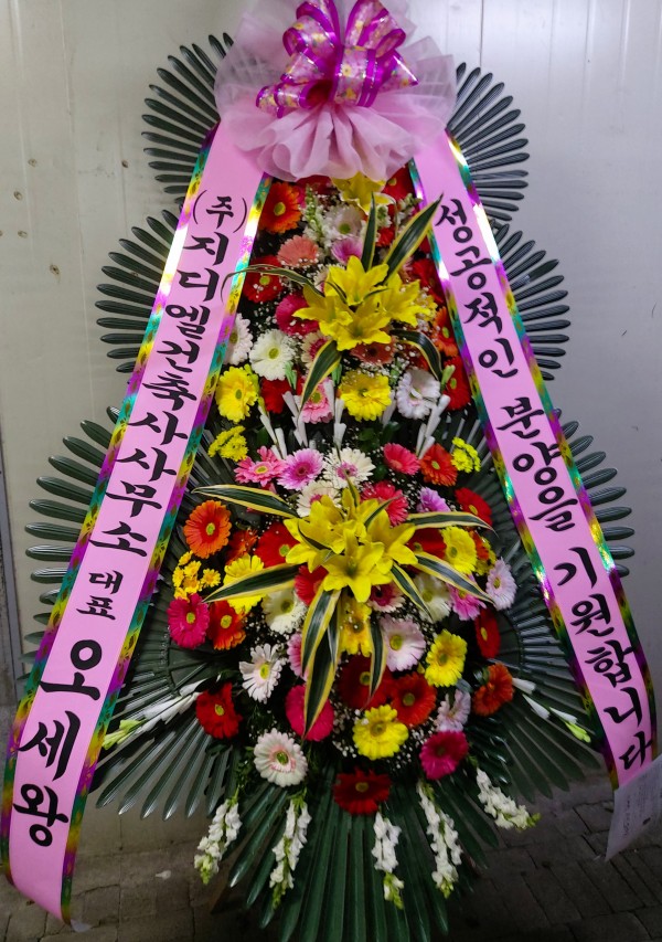 업로드 이미지