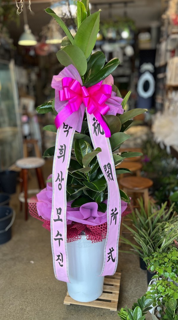 업로드 이미지
