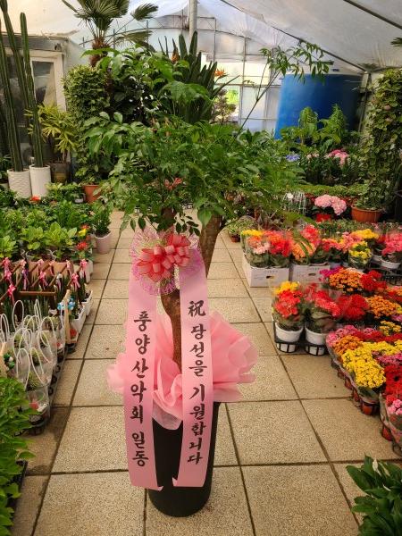 업로드 이미지