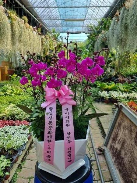 업로드 이미지