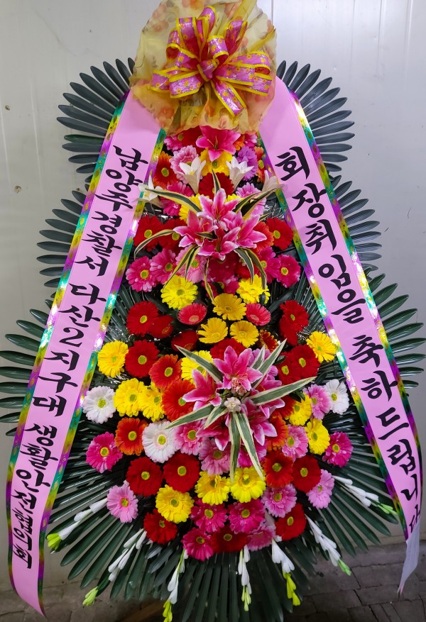 업로드 이미지