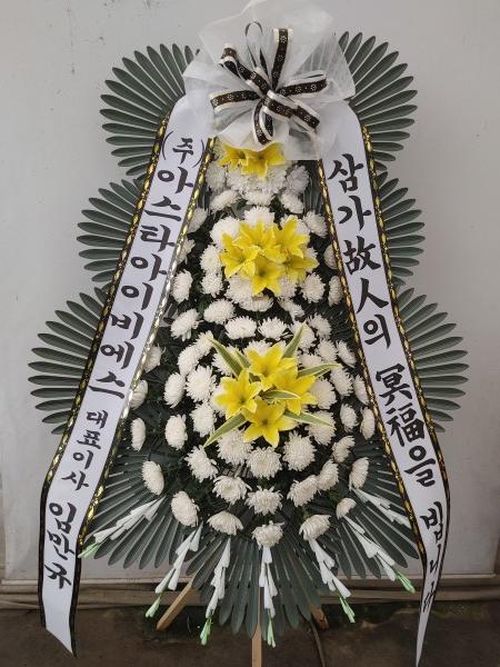 업로드 이미지
