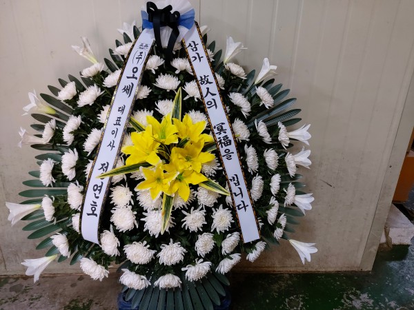 업로드 이미지