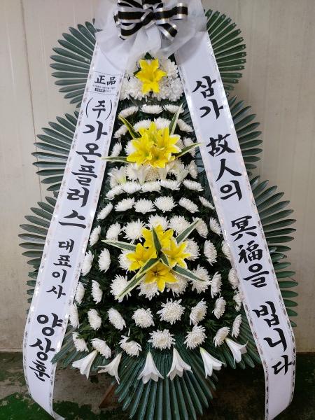 업로드 이미지